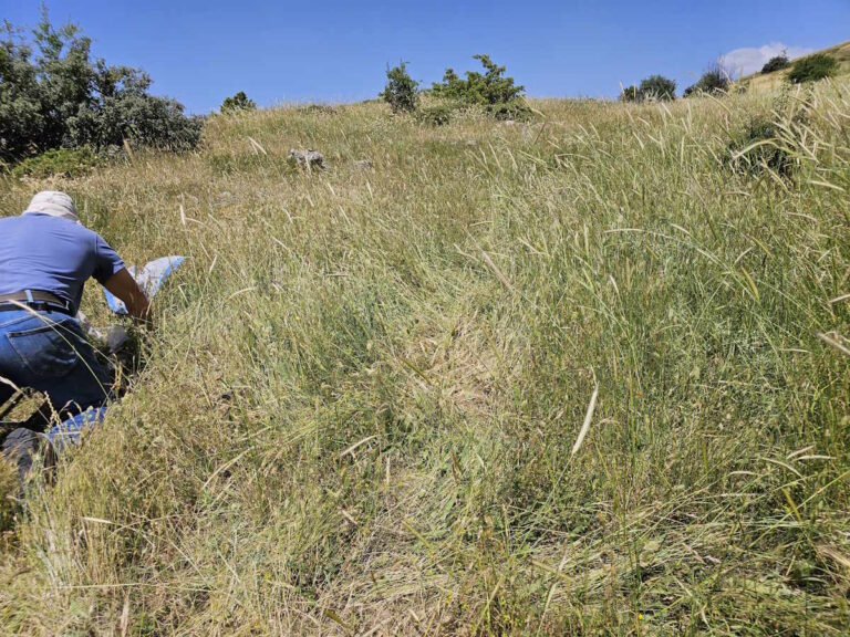 Πετυχαίνοντας την αειφορία της κτηνοτροφίας στα υψηλά όρη υπό συνθήκες κλιματικής αλλαγής – Συνεργασία ελληνικών πανεπιστημίων