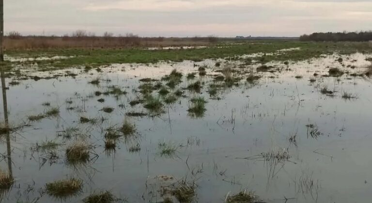 Πλημμύρες και Agrisnap μπλοκάρουν τους αγρότες της Ροδόπης (ΦΩΤΟ)