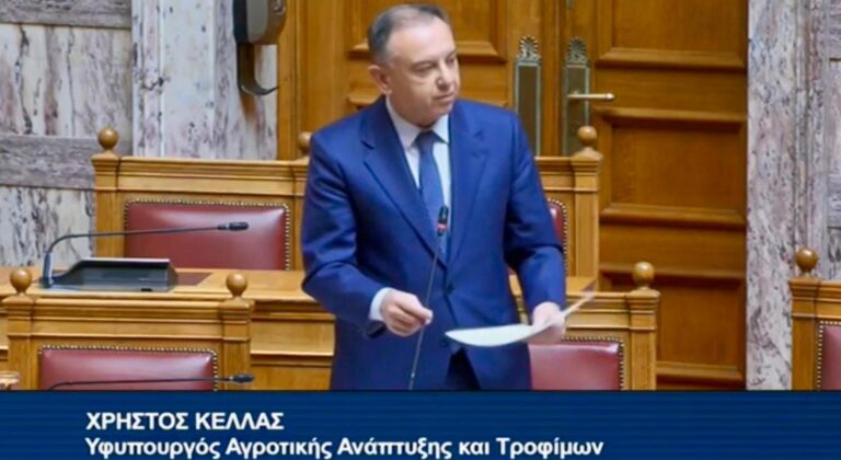Κέλλας για αφθώδη: Εφαρμογή μέτρων για να αποφύγουμε ευρύτερες επιπτώσεις (Βίντεο)