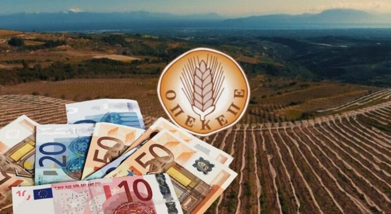 ΟΠΕΚΕΠΕ: Σήμερα στον εισαγγελέα οι 13 συλληφθέντες από Κοζάνη - Γιατί κατηγορούνται (Βίντεο)