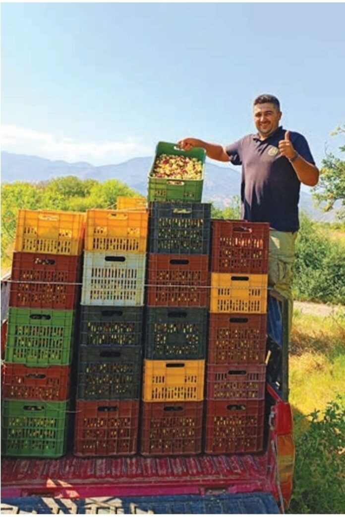Το super food τζιτζιφο γίνεται και… γαριδάκι