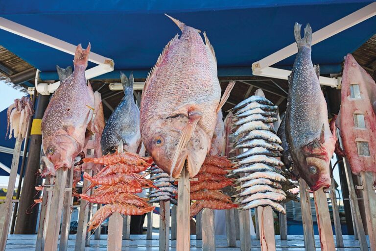 Nα τρώμε και «ξενικά» ψάρια προτείνει η WWF