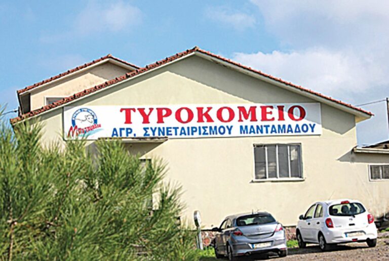 «Χωρίς προστασία και πληρωμές» λένε στον Μανταμάδο