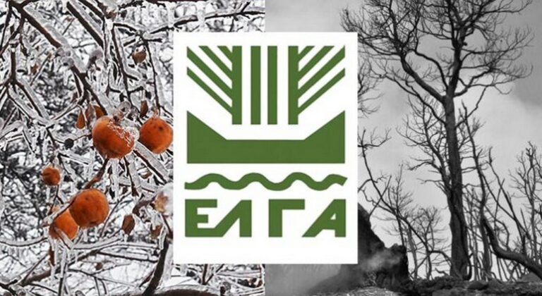 Παράταση ενός μήνα για την καταβολή ασφαλιστικών εισφορών για αγρότες