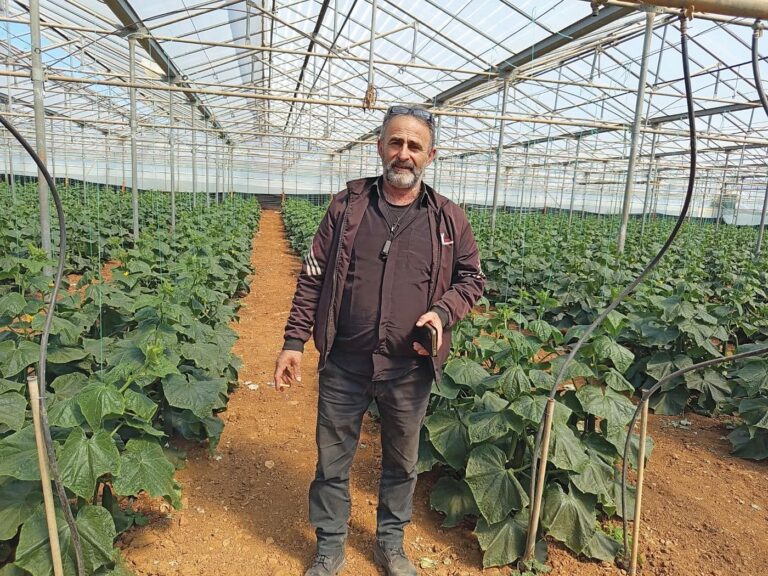 Πέφτουν οι τιμές των κηπευτικών της Κρήτης