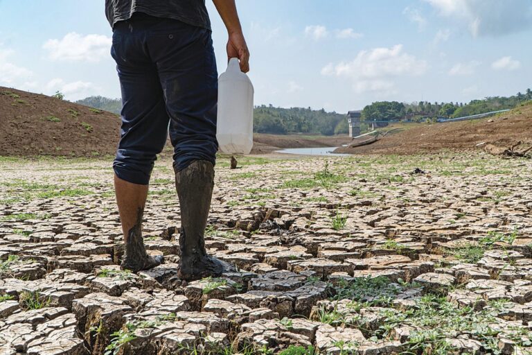 Γεωπολιτικές εντάσεις και El Niño, παράγοντες κινδύνου για τον αγροτικό τομέα