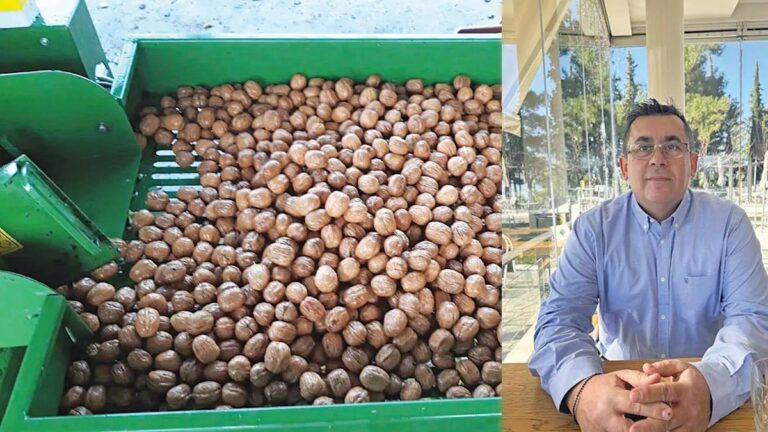 Η καρυδιά θέλει προετοιμασία, ενημέρωση και εξοπλισμό